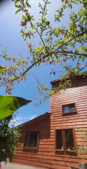 Casa Iris